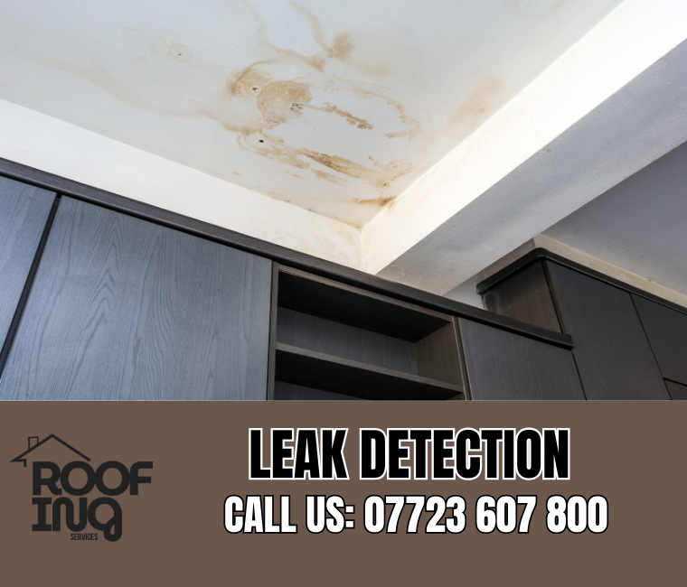 Roof leak detection and repair in Ivybridge