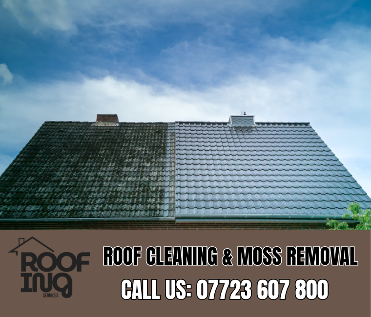 Roof cleaning and moss removal in Ivybridge